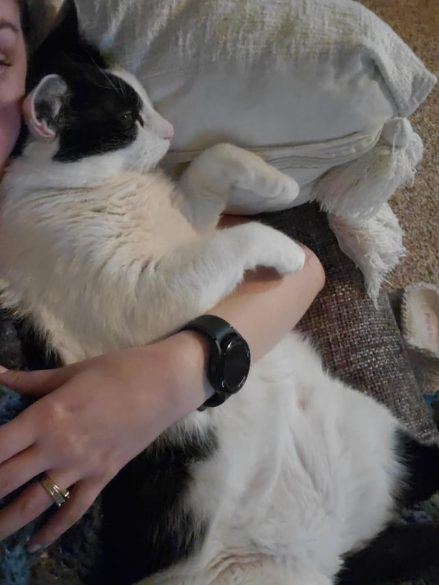 Cheezburger Image 10615275264