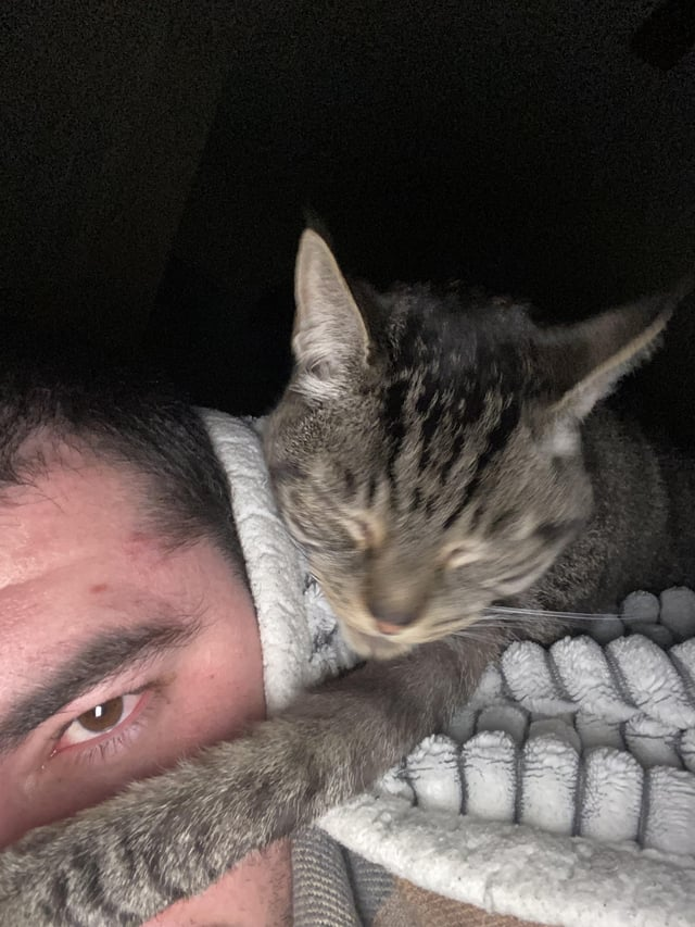 Cheezburger Image 10615275776