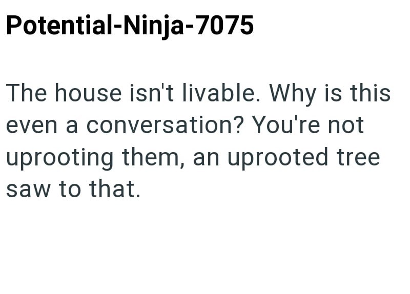 Cheezburger Image 10615283456