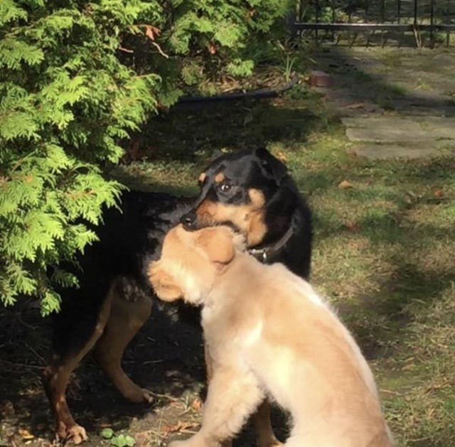 Cheezburger Image 10615286016