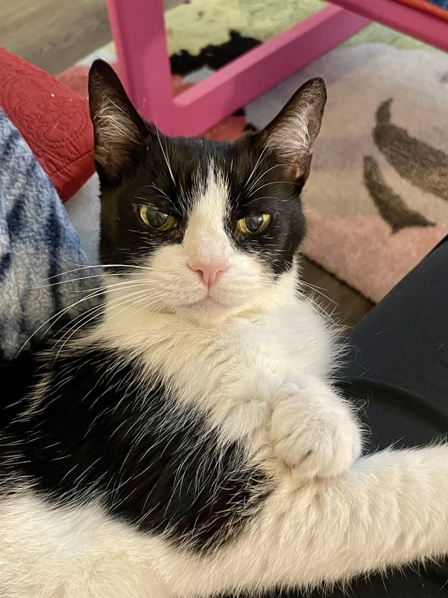 Cheezburger Image 10615291904