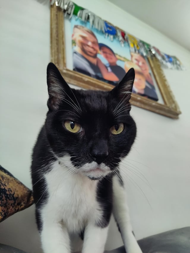 Cheezburger Image 10615292416