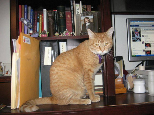 LABILS ClickA SARINES NOTEBOO