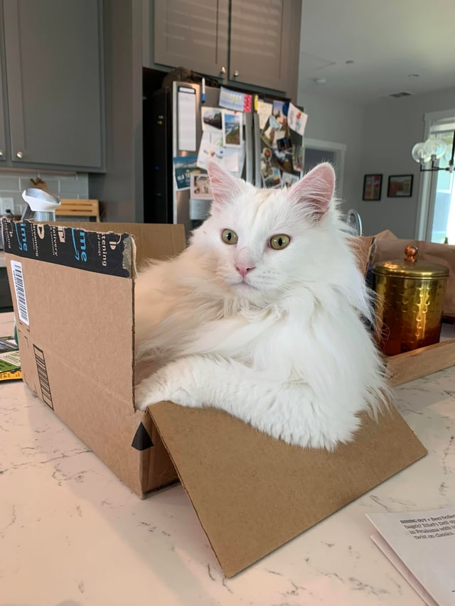 me tening of songs me bag D