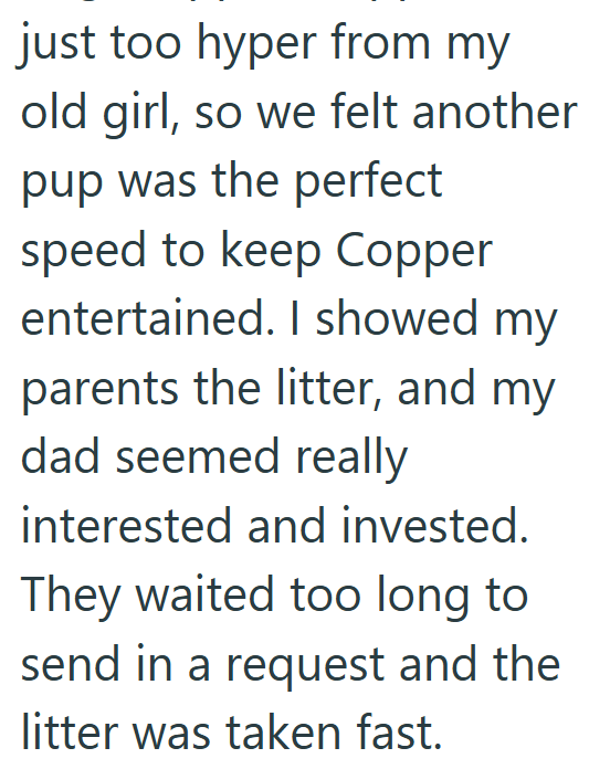 just too hyper from my old girl, so we felt another pup was the perfect speed to keep Copper entertained. I showed my parents the litter, and my dad seemed really interested and invested. They waited too long to send in a request and the litter was taken fast.