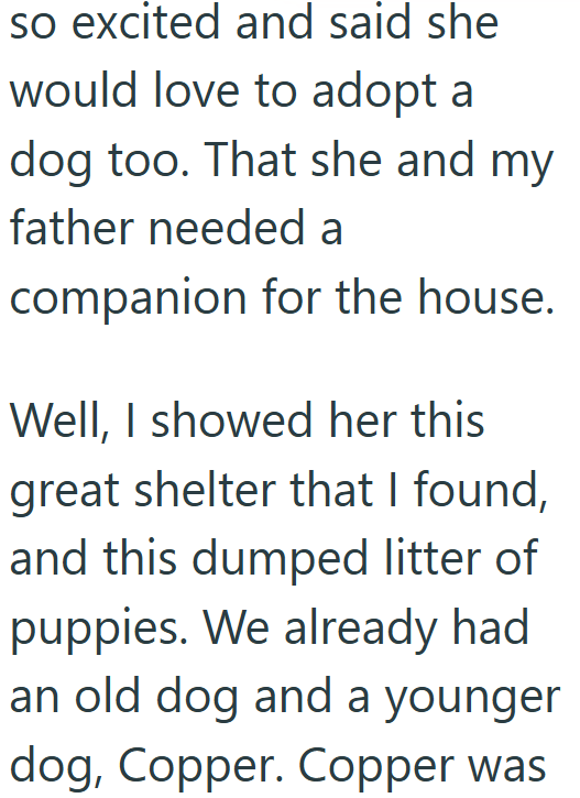 so excited and said she would love to adopt a dog too. That she and my father needed a companion for the house. Well, I showed her this great shelter that I found, and this dumped litter of puppies. We already had an old dog and a younger dog, Copper. Copper was