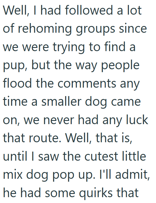 Well, I had followed a lot of rehoming groups since we were trying to find a pup, but the way people flood the comments any time a smaller dog came on, we never had any luck that route. Well, that is, until I saw the cutest little mix dog pop up. I'll admit, he had some quirks that