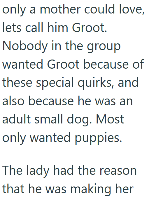 only a mother could love, lets call him Groot. Nobody in the group wanted Groot because of these special quirks, and also because he was an adult small dog. Most only wanted puppies. The lady had the reason that he was making her