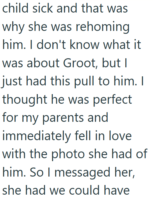 child sick and that was why she was rehoming him. I don't know what it was about Groot, but I just had this pull to him. I thought he was perfect for my parents and immediately fell in love with the photo she had of him. So I messaged her, she had we could have