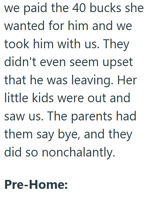 we paid the 40 bucks she wanted for him and we took him with us. They didn't even seem upset that he was leaving. Her little kids were out and saw us. The parents had them say bye, and they did so nonchalantly. Pre-Home: