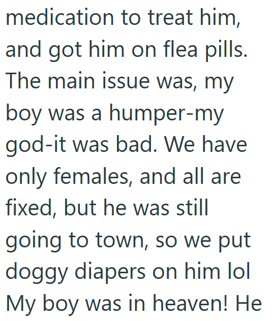 medication to treat him, and got him on flea pills. The main issue was, my boy was a humper-my god-it was bad. We have only females, and all are fixed, but he was still going to town, so we put doggy diapers on him lol My boy was in heaven! He