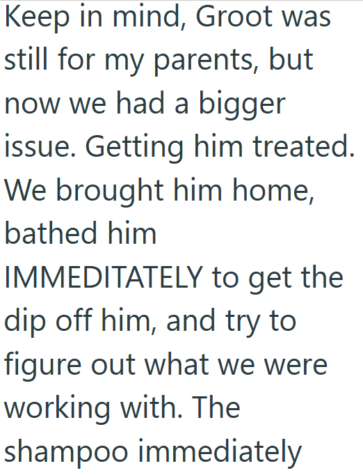 Keep in mind, Groot was still for my parents, but now we had a bigger issue. Getting him treated. We brought him home, bathed him IMMEDITATELY to get the dip off him, and try to figure out what we were working with. The shampoo immediately