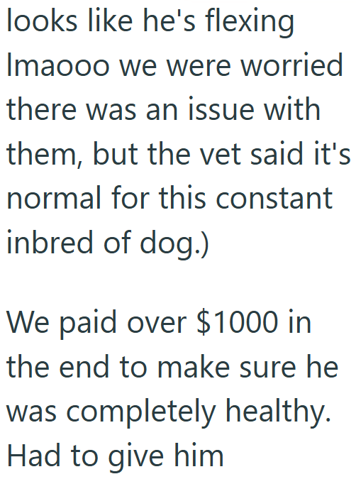 looks like he's flexing Imaooo we were worried there was an issue with them, but the vet said it's normal for this constant inbred of dog.) We paid over $1000 in the end to make sure he was completely healthy. Had to give him