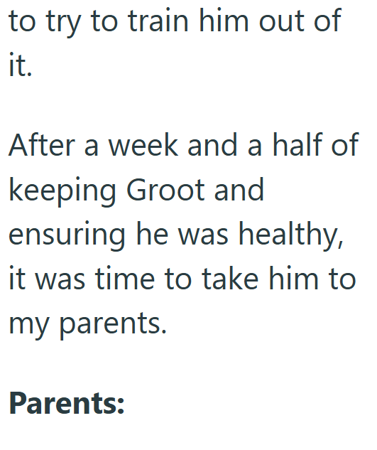 to try to train him out of it. After a week and a half of keeping Groot and ensuring he was healthy, it was time to take him to my parents. Parents: