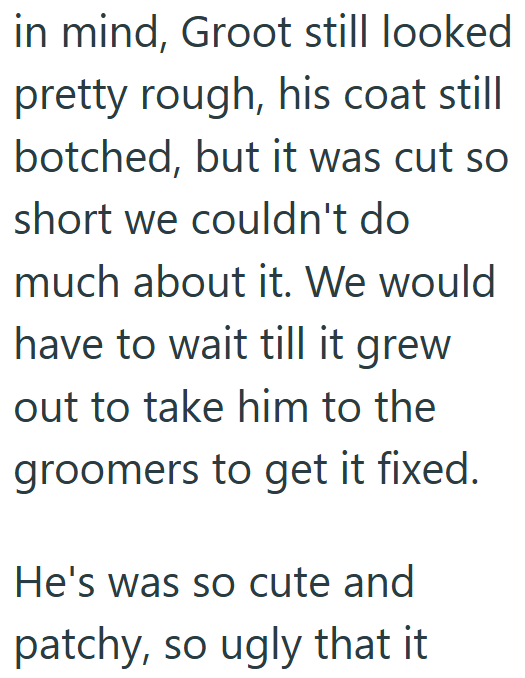 in mind, Groot still looked pretty rough, his coat still botched, but it was cut so short we couldn't do much about it. We would have to wait till it grew out to take him to the groomers to get it fixed. He's was so cute and patchy, so ugly that it