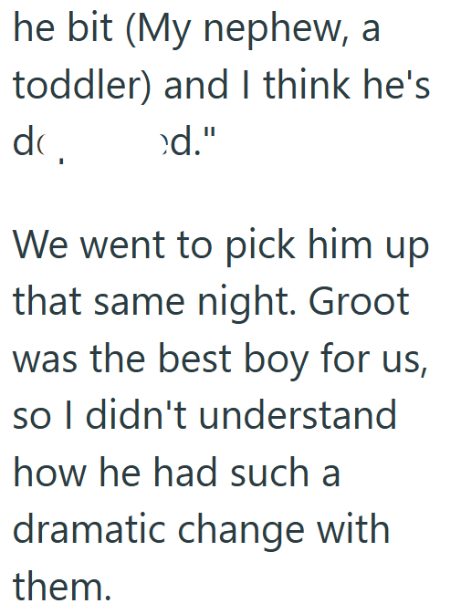 he bit (My nephew, a toddler) and I think he's dc. ed." We went to pick him up that same night. Groot was the best boy for us, so I didn't understand how he had such a dramatic change with them.