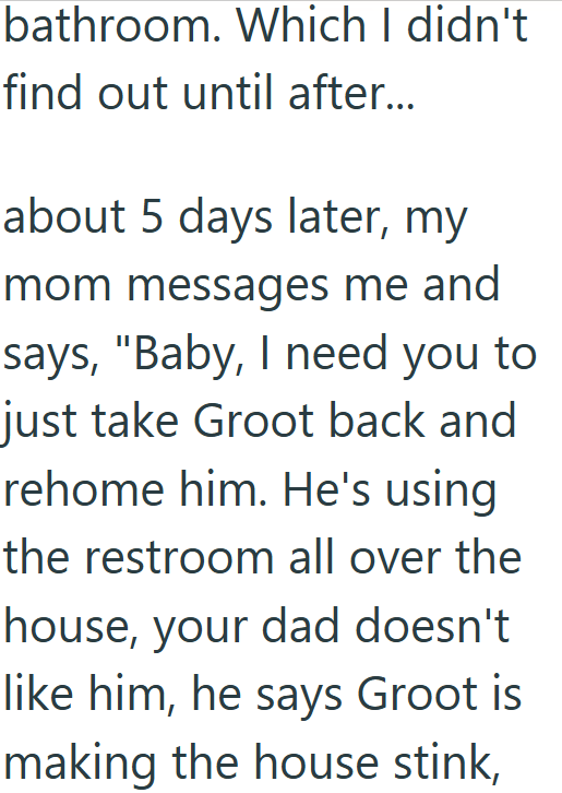 bathroom. Which I didn't find out until after... about 5 days later, my mom messages me and says, "Baby, I need you to just take Groot back and rehome him. He's using the restroom all over the house, your dad doesn't like him, he says Groot is making the house stink,