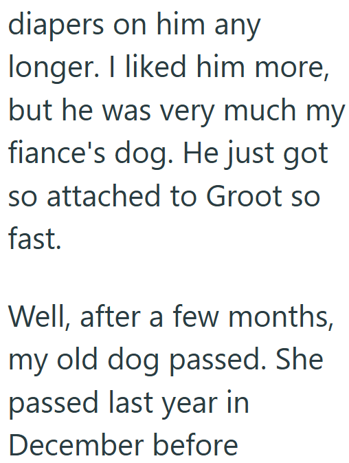 diapers on him any longer. I liked him more, but he was very much my fiance's dog. He just got so attached to Groot so fast. Well, after a few months, my old dog passed. She passed last year in December before
