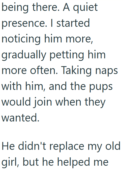 being there. A quiet presence. I started noticing him more, gradually petting him more often. Taking naps with him, and the pups would join when they wanted. He didn't replace my old girl, but he helped me