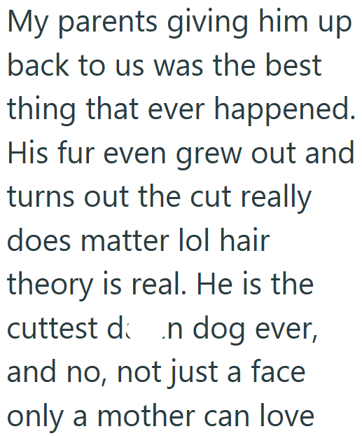 My parents giving him up back to us was the best thing that ever happened. His fur even grew out and turns out the cut really does matter lol hair theory is real. He is the cuttest dn dog ever, and no, not just a face only a mother can love