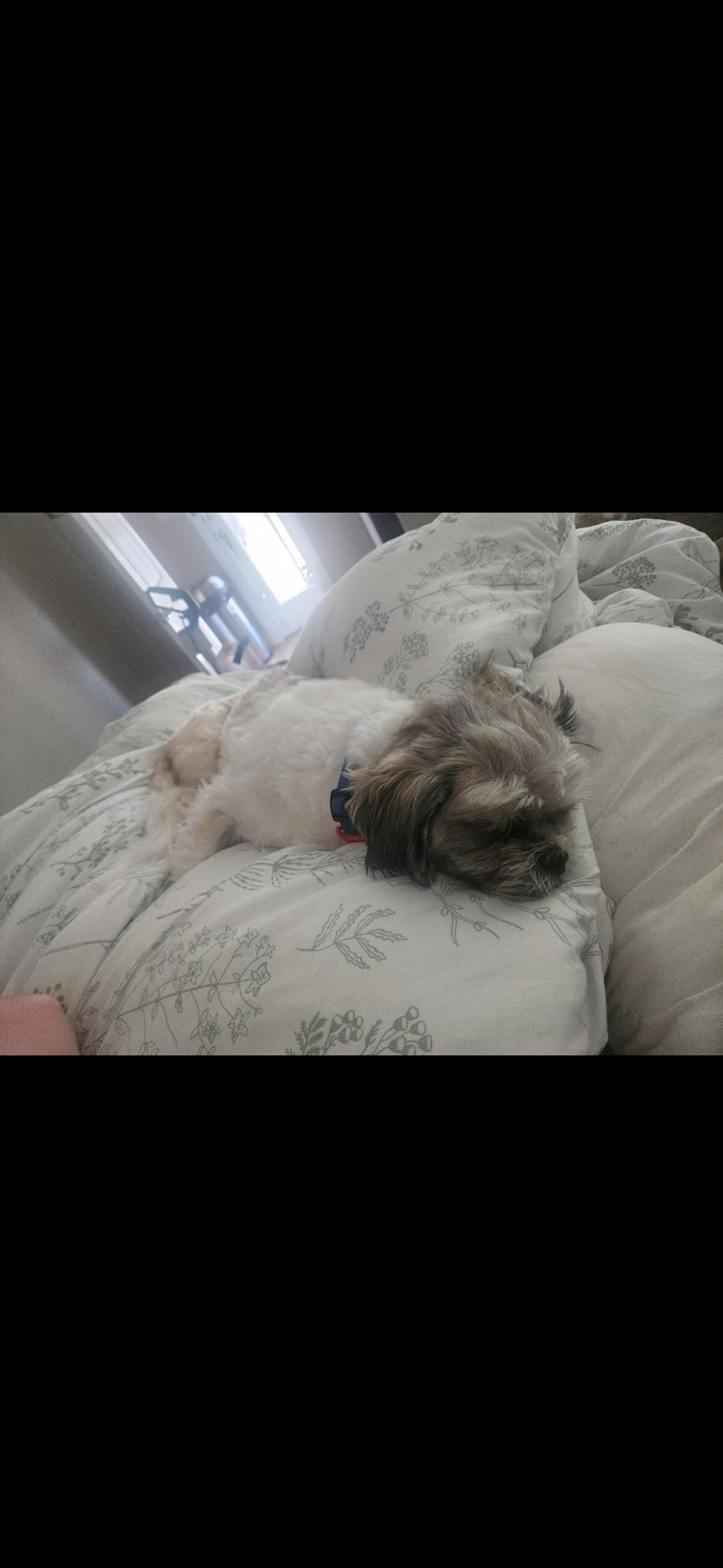 Cheezburger Image 10615305472