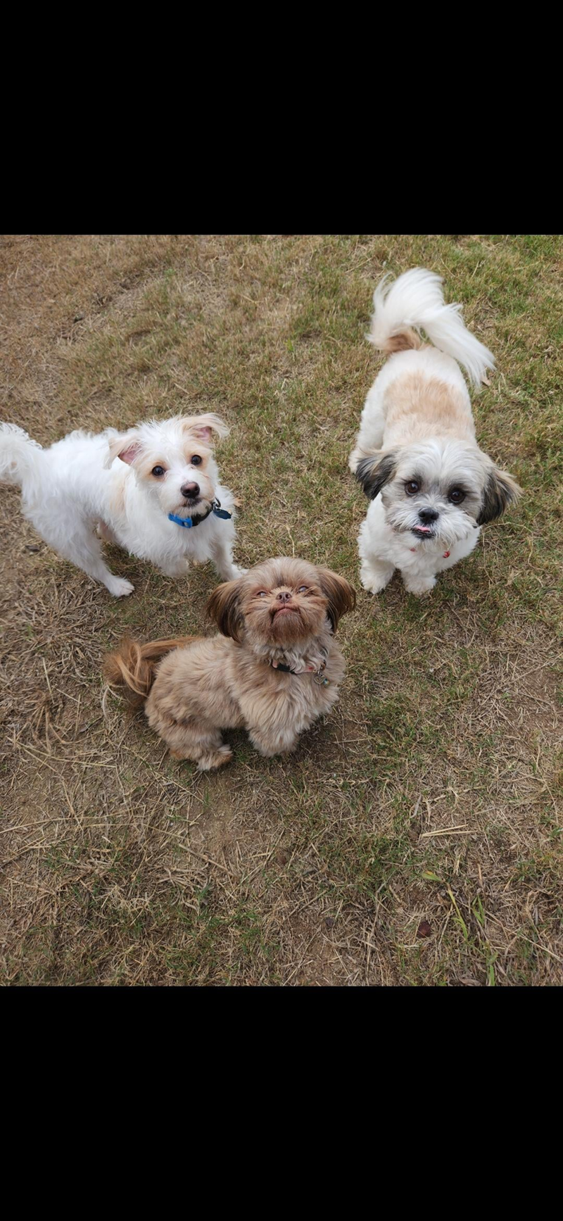 Cheezburger Image 10615306240