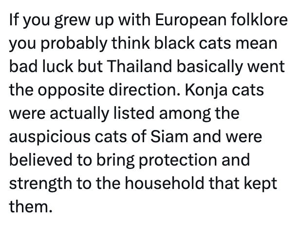If you grew up with European folklore you probably think black cats mean bad luck but Thailand basically went the opposite direction. Konja cats were actually listed among the auspicious cats of Siam and were believed to bring protection and strength to the household that kept them.