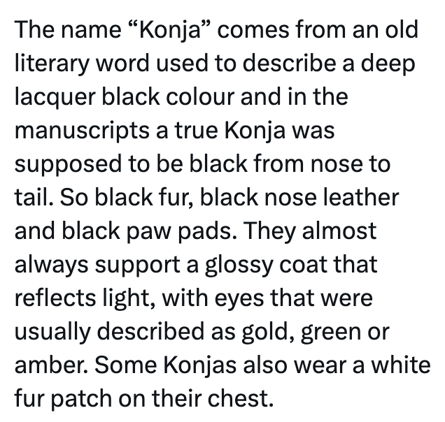 The name "Konja” comes from an old literary word used to describe a deep lacquer black colour and in the manuscripts a true Konja was supposed to be black from nose to tail. So black fur, black nose leather and black paw pads. They almost always support a glossy coat that reflects light, with eyes that were usually described as gold, green or amber. Some Konjas also wear a white fur patch on their chest.