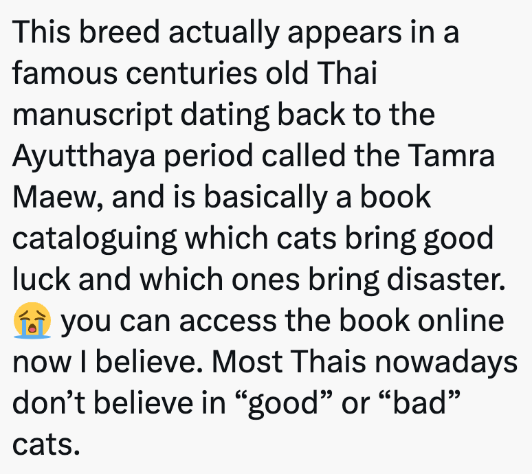 This breed actually appears in a famous centuries old Thai manuscript dating back to the Ayutthaya period called the Tamra Maew, and is basically a book cataloguing which cats bring good luck and which ones bring disaster. you can access the book online now I believe. Most Thais nowadays don't believe in "good" or "bad" cats.