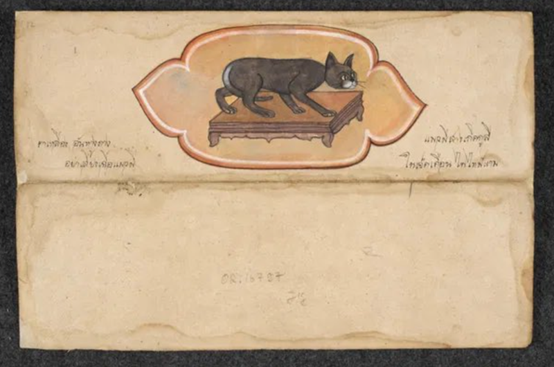 อ า ส ส MON 08.16707 tit༨/r QN