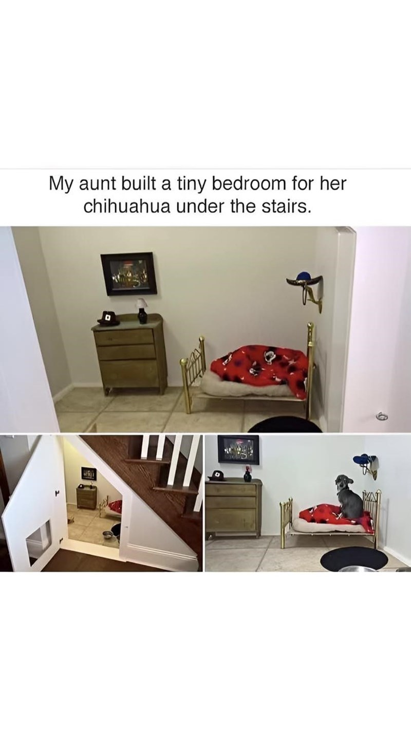 My aunt built a tiny bedroom for her chihuahua under the stairs.