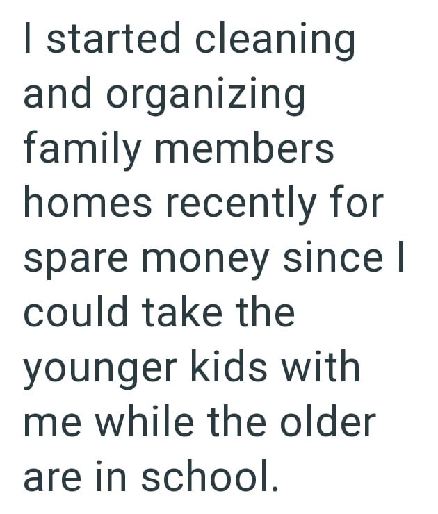 I started cleaning and organizing family members homes recently for spare money since I could take the younger kids with me while the older are in school.