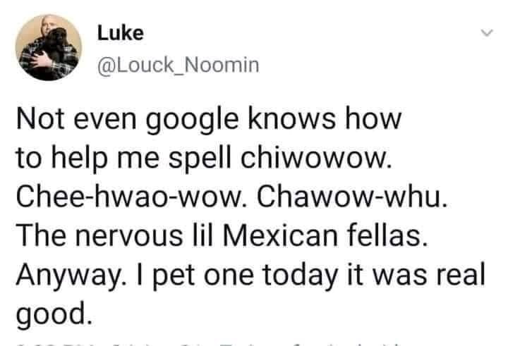 Luke @Louck_Noomin Not even google knows how to help me spell chiwowow. Chee-hwao-wow. Chawow-whu. The nervous lil Mexican fellas. Anyway. I pet one today it was real good.