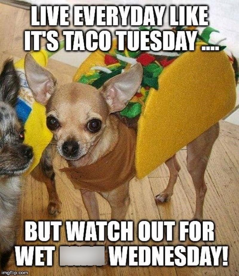 LIVE EVERYDAY LIKE IT'S TACO TUESDAY... BUT WATCH OUT FOR WET imgflip.com WEDNESDAY!