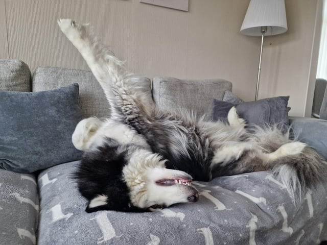 Cheezburger Image 10615326208