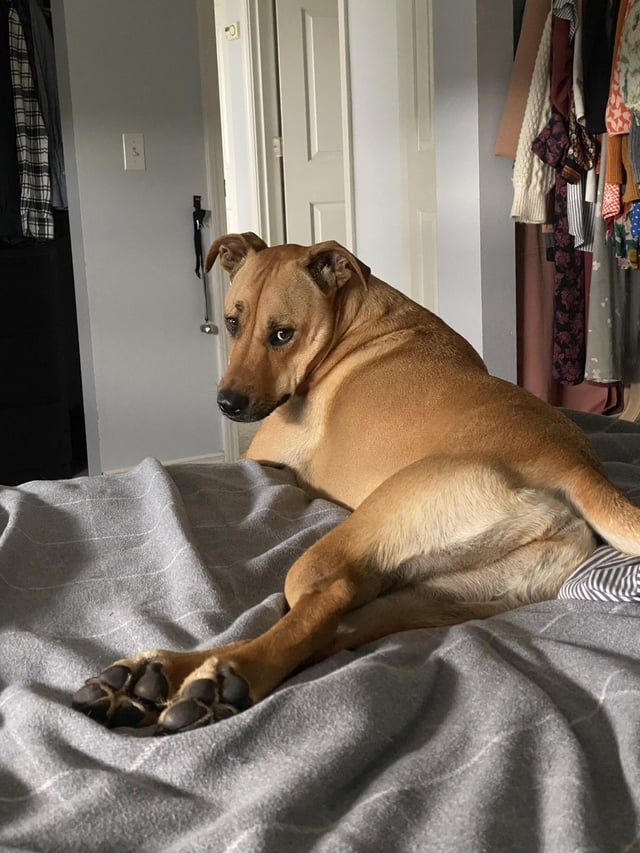 Cheezburger Image 10615326464