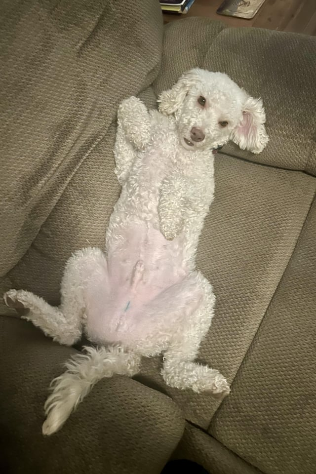 Cheezburger Image 10615327232