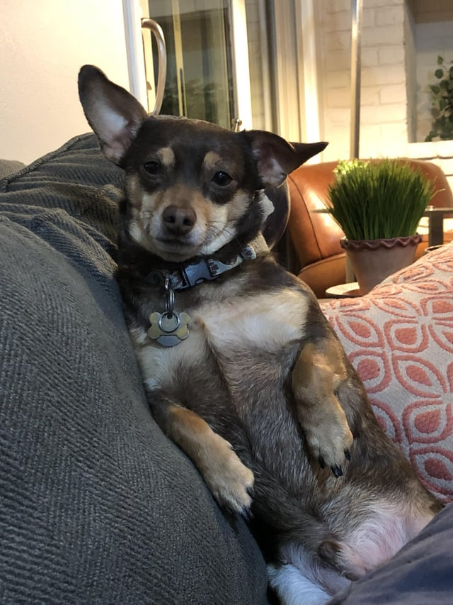 Cheezburger Image 10615327744