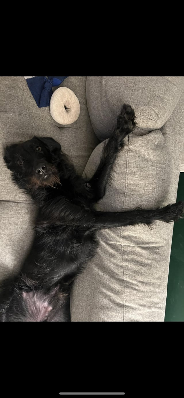 Cheezburger Image 10615328000