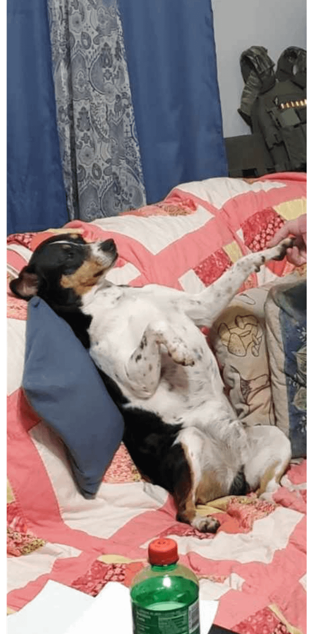 Cheezburger Image 10615328256