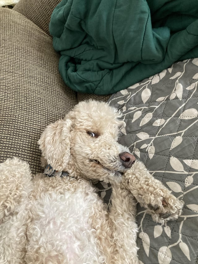 Cheezburger Image 10615328768