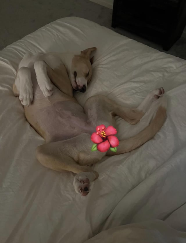 Cheezburger Image 10615330048