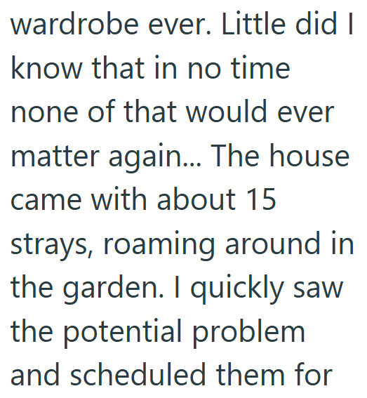wardrobe ever. Little did I know that in no time none of that would ever matter again... The house came with about 15 strays, roaming around in the garden. I quickly saw the potential problem and scheduled them for