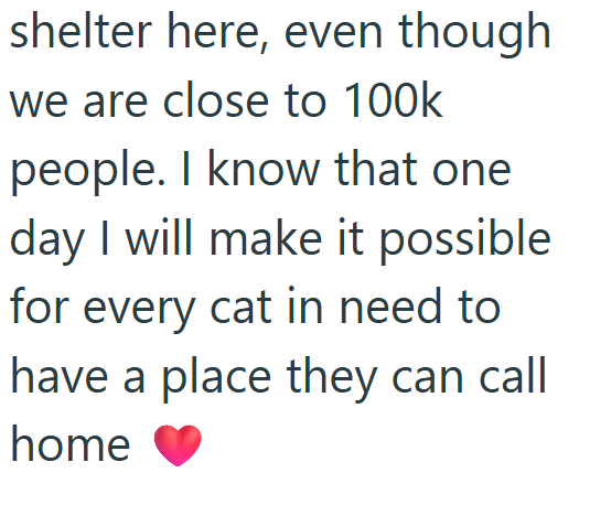 shelter here, even though we are close to 100k people. I know that one day I will make it possible for every cat in need to have a place they can call home
