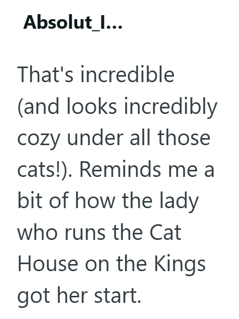 Absolut_l... That's incredible (and looks incredibly cozy under all those cats!). Reminds me a bit of how the lady who runs the Cat House on the Kings got her start.