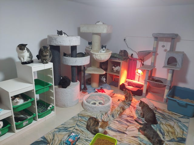 Cheezburger Image 10615335168