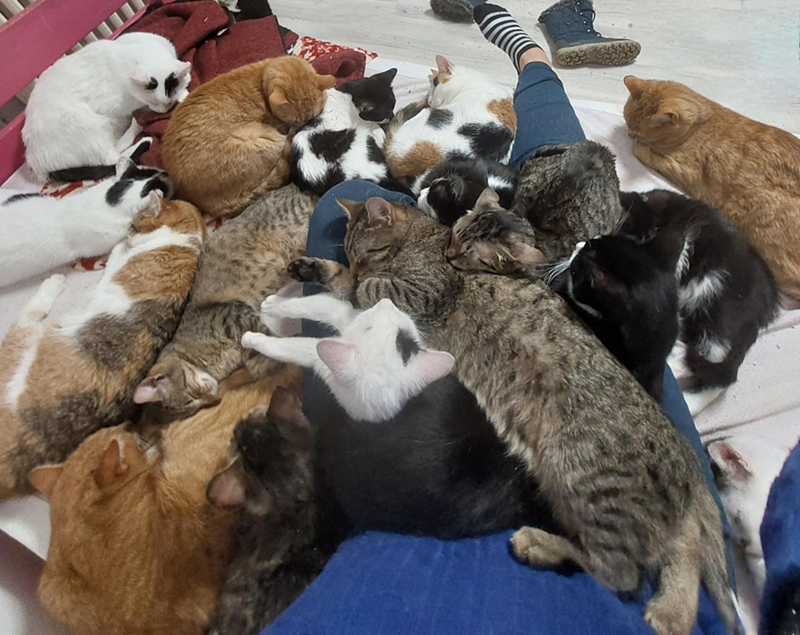 Cheezburger Image 10615335680