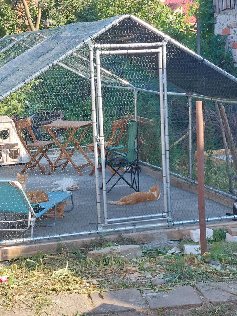 Cheezburger Image 10615337984