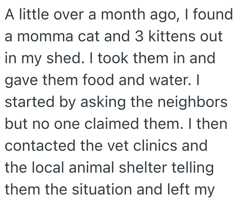 A little over a month ago, I found a momma cat and 3 kittens out in my shed. I took them in and gave them food and water. I started by asking the neighbors but no one claimed them. I then contacted the vet clinics and the local animal shelter telling them the situation and left my