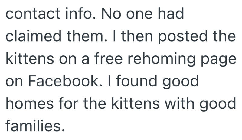 contact info. No one had claimed them. I then posted the kittens on a free rehoming page on Facebook. I found good homes for the kittens with good families.